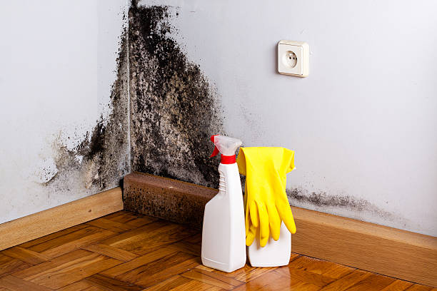 Water Damage Restoration in Clearwater, MN